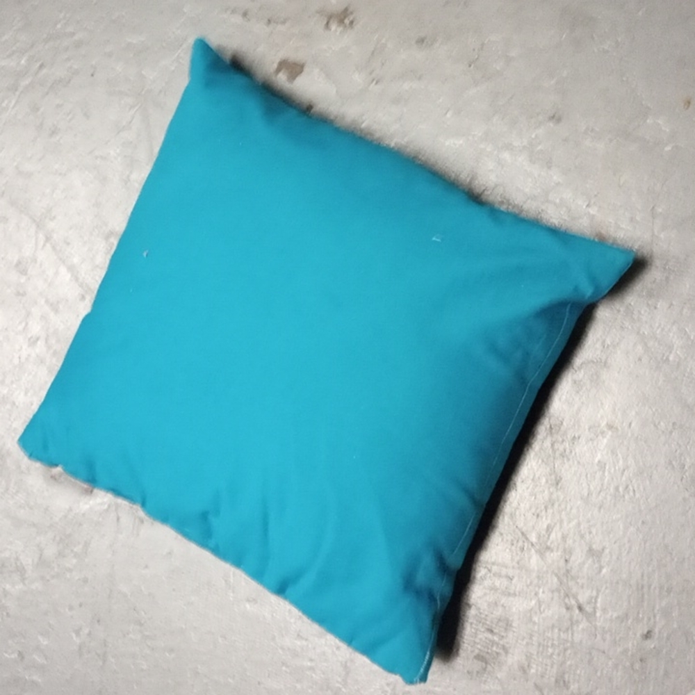 Couch pillow